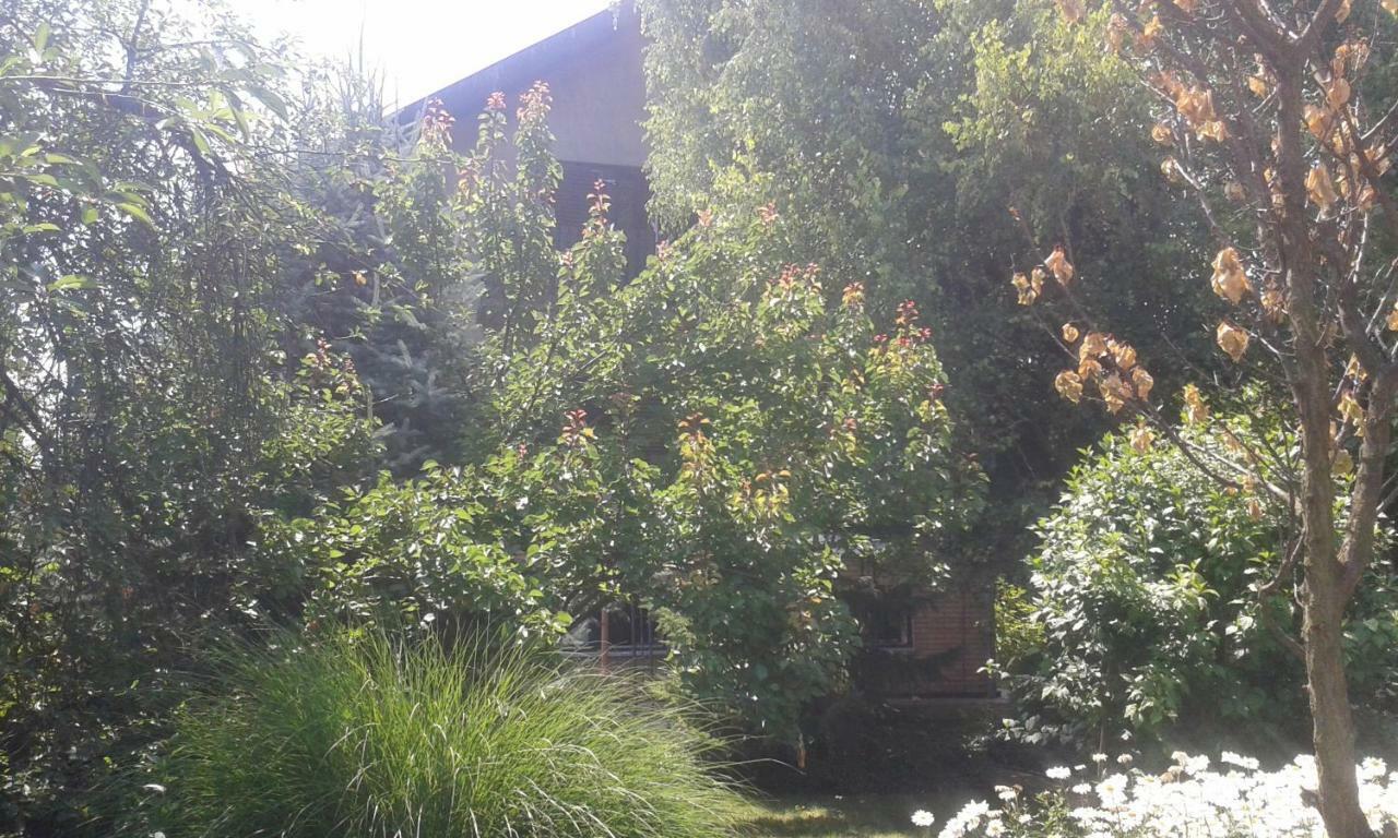 Apartmán Sobe Dijana Subotica Exteriér fotografie